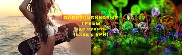 твердый Алзамай