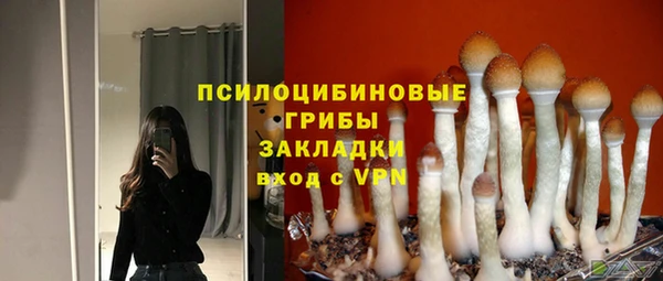 a pvp Алексин