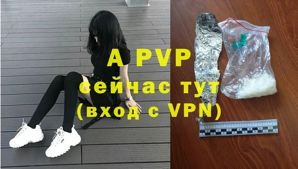 индика Нея