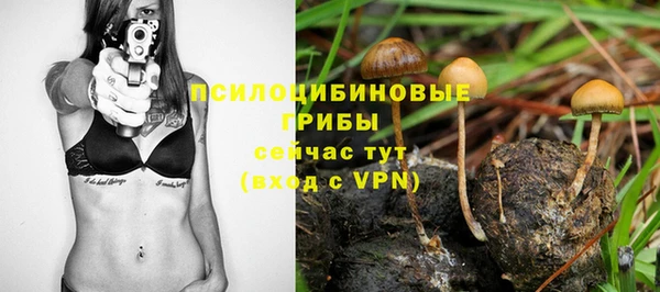 дмт Алексеевка