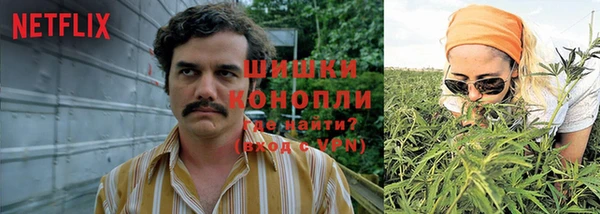 твердый Алзамай