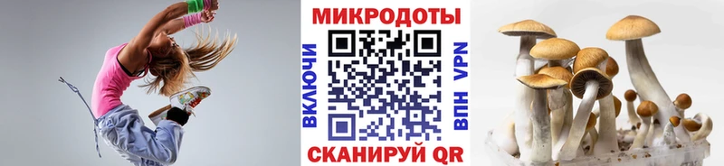 купить закладку Медынь кракен рабочий сайт Псилоцибиновые грибы GOLDEN TEACHER